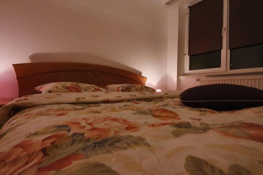سيبيو Titian'S Cozy Apartment المظهر الخارجي الصورة
